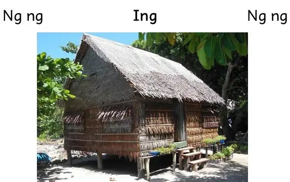 Nga ngahaini ingan.