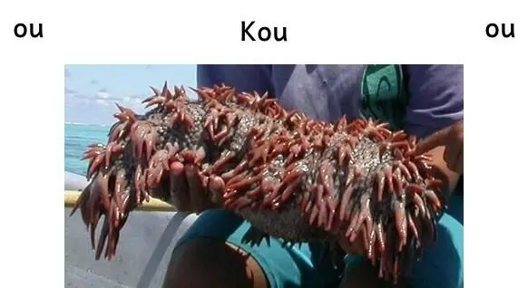 Huni kou hangouta ungoung.